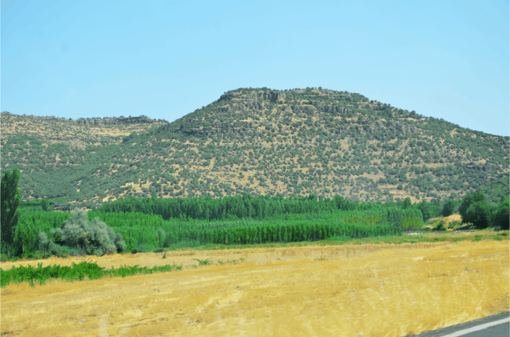 Adsiz-tasarim-1-1024x678 “Ilısu havzası, kavak plantasyonlarıyla donatılmalı”